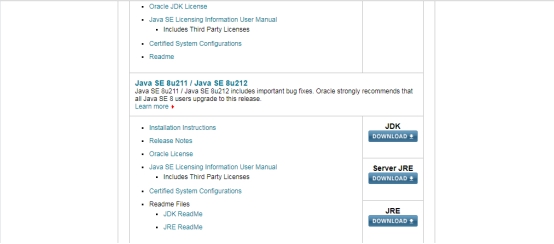 在頁面中點擊JDK，推薦安裝Java8